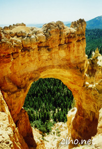 Bryce Canyon Arch