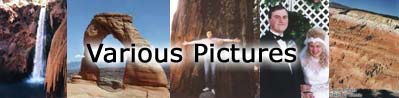 Various Pictures